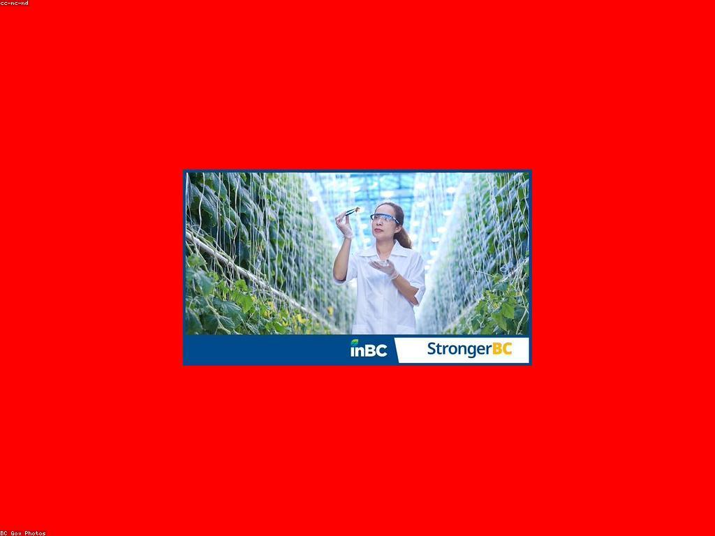 ការណែនាំស្តីពីការប្រាក់